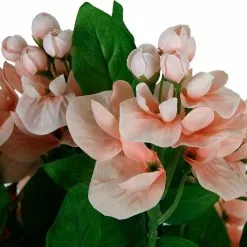 Best Sale 🛒 12 Pack: Coral Wisteria Bush by Ashland® 🤩 -Ashland Online Store MP547397 2