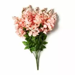 Best Sale 🛒 12 Pack: Coral Wisteria Bush by Ashland® 🤩 -Ashland Online Store MP547397 21