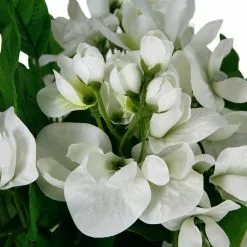 Hot Sale 💯 12 Pack: White Wisteria Bush by Ashland® 💯 -Ashland Online Store MP547400 2