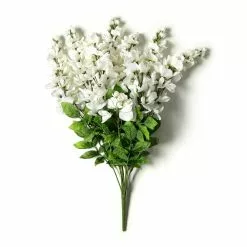 Hot Sale 💯 12 Pack: White Wisteria Bush by Ashland® 💯 -Ashland Online Store MP547400 21