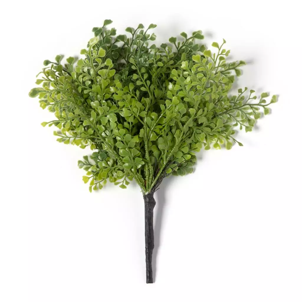 Buy ๐ฅ 12 Pack: Forest Fern Bush by Ashland® โ 6 Buy ๐ฅ 12 Pack: Forest Fern Bush by Ashland® โ - Image 4