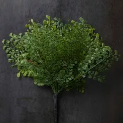 Buy ๐ฅ 12 Pack: Forest Fern Bush by Ashland® โ 9 Buy ๐ฅ 12 Pack: Forest Fern Bush by Ashland® โ -Ashland Online Store MP547457 22
