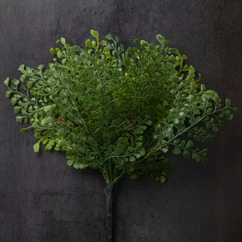 Buy ๐ฅ 12 Pack: Forest Fern Bush by Ashland® โ 5 Buy ๐ฅ 12 Pack: Forest Fern Bush by Ashland® โ - Image 3