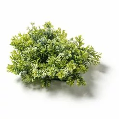 Hot Sale ⌛ 8 Pack: Green Boxwood Bush by Ashland® 🌟 -Ashland Online Store MP547534 21