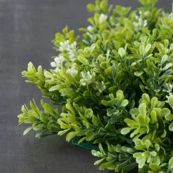 Hot Sale ⌛ 8 Pack: Green Boxwood Bush by Ashland® 🌟 -Ashland Online Store MP547534 25