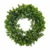 Cheapest 🔥 12 Pack: 22" Boxwood Wreath by Ashland® 👏 -Ashland Online Store MP547547 1