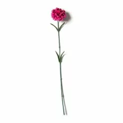 Best Sale ๐ 24 Pack: Hot Pink Carnation Stem by Ashland® ๐ฅ 11 Best Sale ๐ 24 Pack: Hot Pink Carnation Stem by Ashland® ๐ฅ -Ashland Online Store MP626417 21