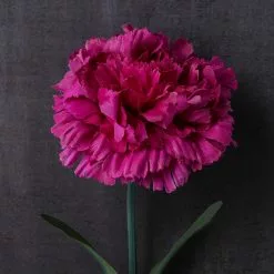 Best Sale ๐ 24 Pack: Hot Pink Carnation Stem by Ashland® ๐ฅ 13 Best Sale ๐ 24 Pack: Hot Pink Carnation Stem by Ashland® ๐ฅ -Ashland Online Store MP626417 22