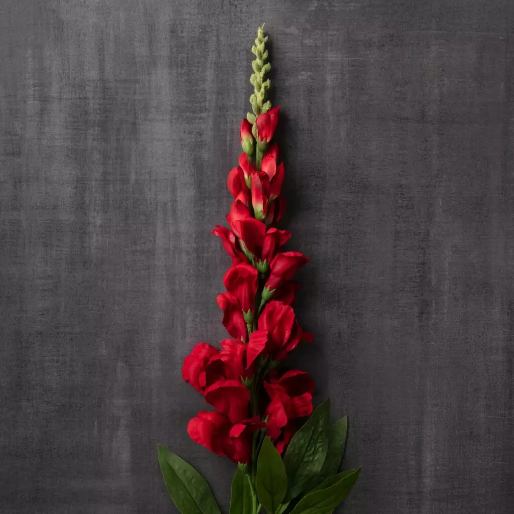 Cheap ✨ 12 Pack: Red Snapdragon Spray by Ashland® ⭐ 7 Cheap ✨ 12 Pack: Red Snapdragon Spray by Ashland® ⭐ - Image 5