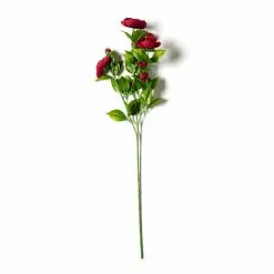 Promo 🤩 12 Pack: Burgundy Ranunculus Spray by Ashland® ⭐ 13 Promo 🤩 12 Pack: Burgundy Ranunculus Spray by Ashland® ⭐ -Ashland Online Store MP626427 21