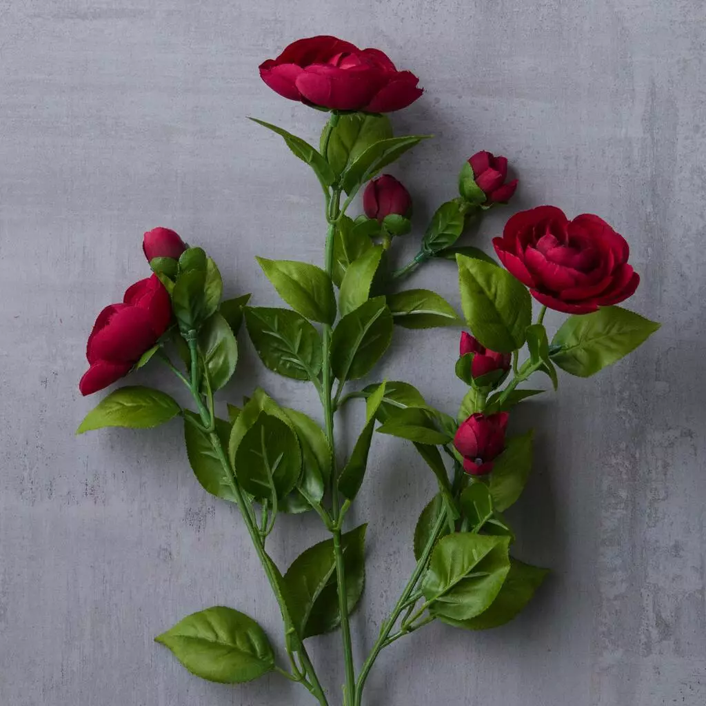Promo 🤩 12 Pack: Burgundy Ranunculus Spray by Ashland® ⭐ 7 Promo 🤩 12 Pack: Burgundy Ranunculus Spray by Ashland® ⭐ - Image 5