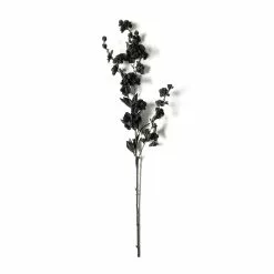 Flash Sale ๐ 12 Pack: Black Blossom Spray by Ashland® โญ 12 Flash Sale ๐ 12 Pack: Black Blossom Spray by Ashland® โญ -Ashland Online Store MP626437 21