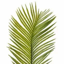 Buy 🌟 12 Pack: Green Sago Palm Spray by Ashland® 🛒 -Ashland Online Store MP626443 20