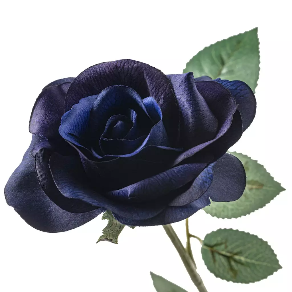 Cheap ๐ 12 Pack: Navy Princess Rose Stem by Ashland® โญ 5 Cheap ๐ 12 Pack: Navy Princess Rose Stem by Ashland® โญ - Image 3