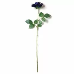 Cheap ๐ 12 Pack: Navy Princess Rose Stem by Ashland® โญ 10 Cheap ๐ 12 Pack: Navy Princess Rose Stem by Ashland® โญ -Ashland Online Store MP626447 21