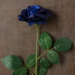 Cheap ๐ 12 Pack: Navy Princess Rose Stem by Ashland® โญ 11 Cheap ๐ 12 Pack: Navy Princess Rose Stem by Ashland® โญ -Ashland Online Store MP626447 25