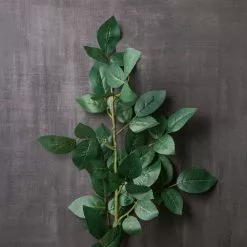 Top 10 🎉 12 Pack: Rose Leaf Stem by Ashland® 😀 -Ashland Online Store MP626471 22