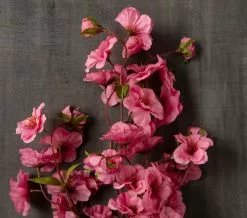 Brand new 👏 12 Pack: Mauve Peach Blossom Spray by Ashland® 😉 -Ashland Online Store MP626479 25