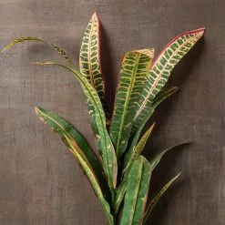 Wholesale ❤️ 12 Pack: Green & Yellow Croton Stem by Ashland® 🌟 -Ashland Online Store MP626491 25