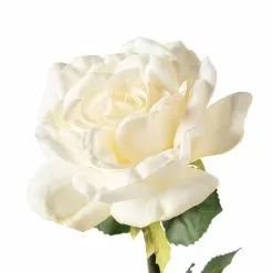 Deals 🔔 6 Pack: White Rose Stem by Ashland® ❤️ -Ashland Online Store MP626862 20