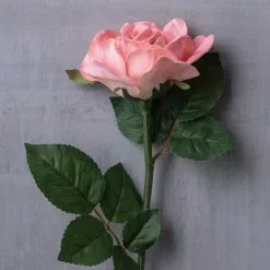 Discount 👍 6 Pack: Blush Rose Stem by Ashland® 🎁 -Ashland Online Store MP626864 22