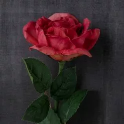 Best Sale ⌛ 6 Pack: Fuchsia Rose Stem by Ashland® ⌛ -Ashland Online Store MP626870 22