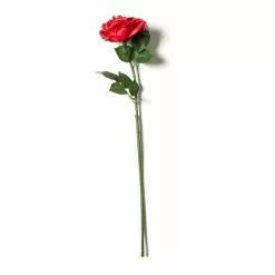 Outlet ๐ฅ 6 Pack: Red Rose Stem by Ashland® โจ 11 Outlet ๐ฅ 6 Pack: Red Rose Stem by Ashland® โจ -Ashland Online Store MP626872 21