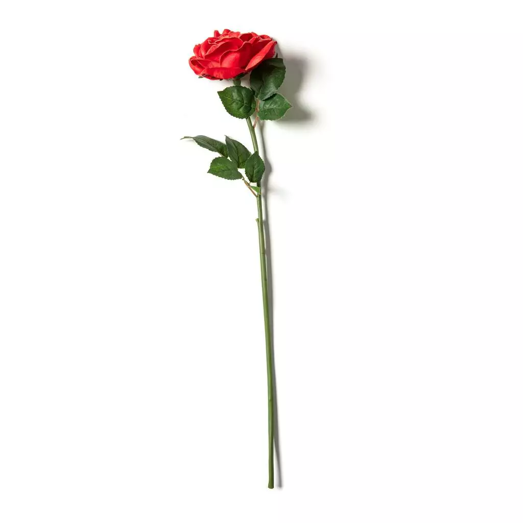 Outlet ๐ฅ 6 Pack: Red Rose Stem by Ashland® โจ 6 Outlet ๐ฅ 6 Pack: Red Rose Stem by Ashland® โจ - Image 4