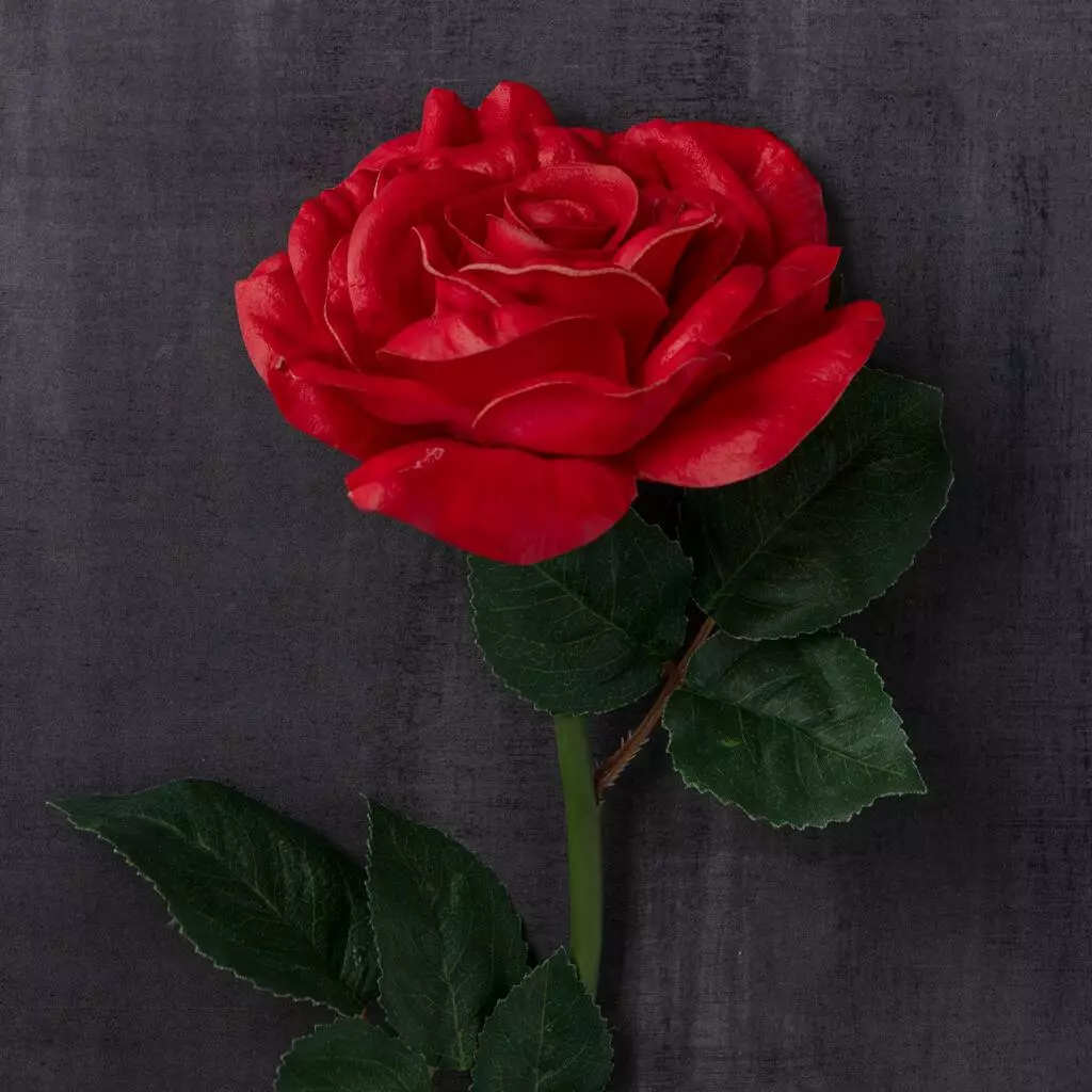 Outlet ๐ฅ 6 Pack: Red Rose Stem by Ashland® โจ 8 Outlet ๐ฅ 6 Pack: Red Rose Stem by Ashland® โจ - Image 6