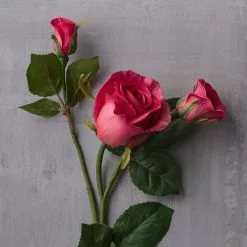 Best Sale ๐ 6 Pack: Fuchsia Rose Spray by Ashland® ๐ 13 Best Sale ๐ 6 Pack: Fuchsia Rose Spray by Ashland® ๐ -Ashland Online Store MP626878 22