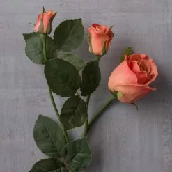 Wholesale ✨ 6 Pack: Coral Rose Spray by Ashland® ❤️ 13 Wholesale ✨ 6 Pack: Coral Rose Spray by Ashland® ❤️ -Ashland Online Store MP626880 22