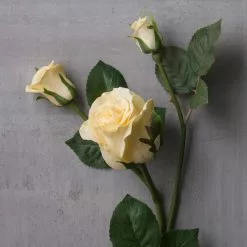 New 🌟 6 Pack: White Rose Spray by Ashland® 👏 -Ashland Online Store MP626882 22