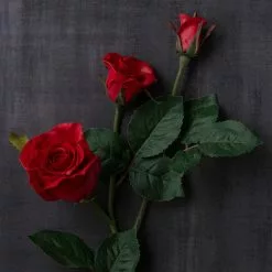 Deals ⭐ 6 Pack: Red Rose Spray by Ashland® ✨ -Ashland Online Store MP626884 25