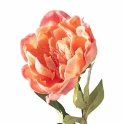 Best Sale ⭐ 6 Pack: Pink Peony Stem by Ashland® ⌛ 12 Best Sale ⭐ 6 Pack: Pink Peony Stem by Ashland® ⌛ -Ashland Online Store MP626888 20