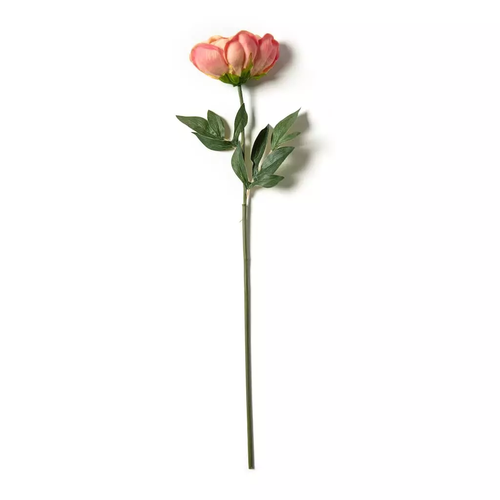 Best Sale ⭐ 6 Pack: Pink Peony Stem by Ashland® ⌛ 8 Best Sale ⭐ 6 Pack: Pink Peony Stem by Ashland® ⌛ - Image 6