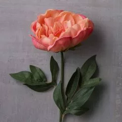 Best Sale ⭐ 6 Pack: Pink Peony Stem by Ashland® ⌛ 11 Best Sale ⭐ 6 Pack: Pink Peony Stem by Ashland® ⌛ -Ashland Online Store MP626888 22