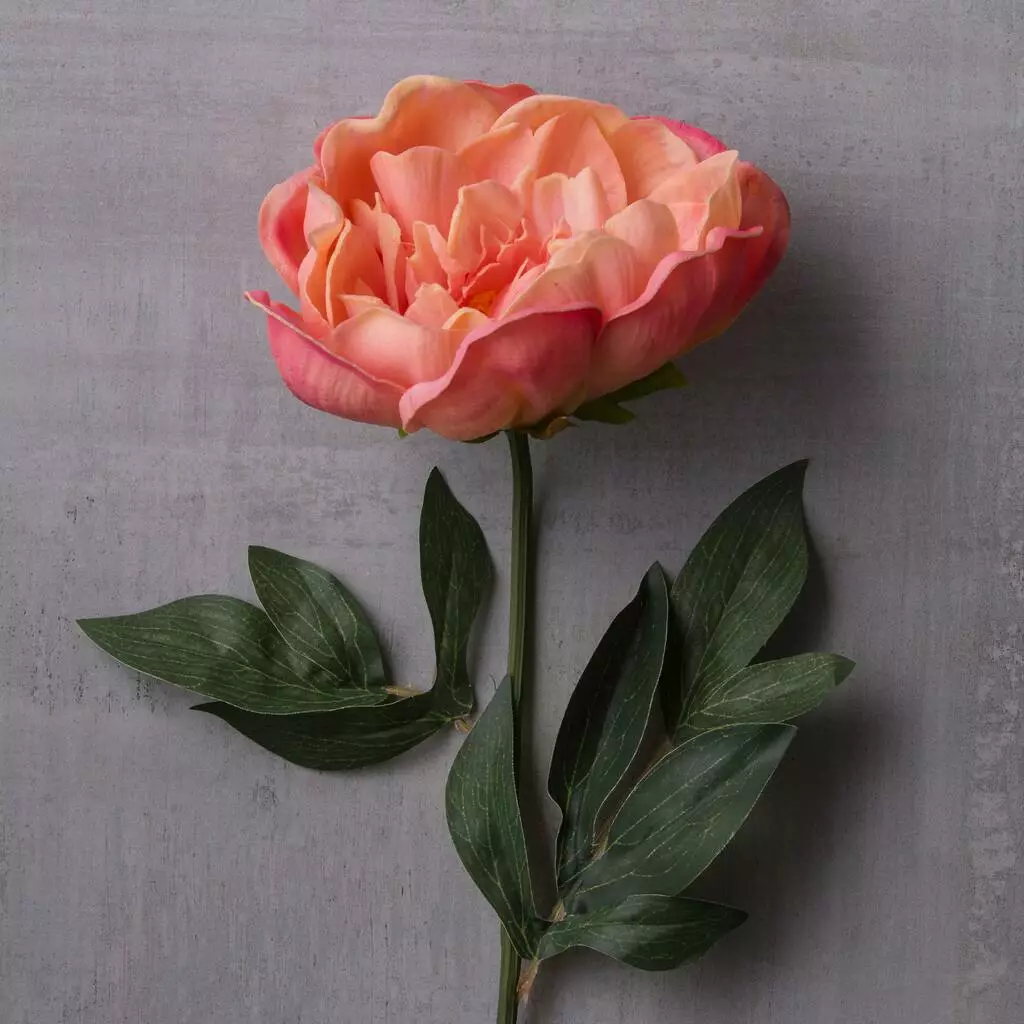 Best Sale ⭐ 6 Pack: Pink Peony Stem by Ashland® ⌛ 6 Best Sale ⭐ 6 Pack: Pink Peony Stem by Ashland® ⌛ - Image 4