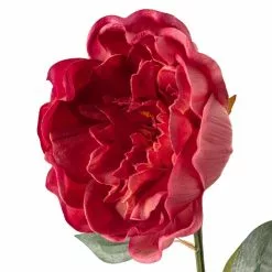 Best reviews of 🤩 6 Pack: Fuchsia Peony Stem by Ashland® 🤩 -Ashland Online Store MP626892 20