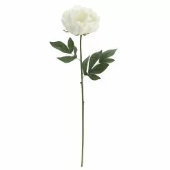 Promo 😍 12 Pack: White Peony Stem by Ashland® 👍