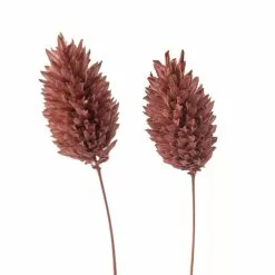 Cheap 🧨 6 Pack: Coral Poa Grass Bundle by Ashland® ⭐ -Ashland Online Store MP628612 20