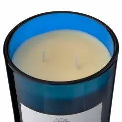 Wholesale ✔️ 8 Pack: Twilight & Currant 2-Wick Jar Candle by Ashland® 🌟 -Ashland Online Store MP638398 31