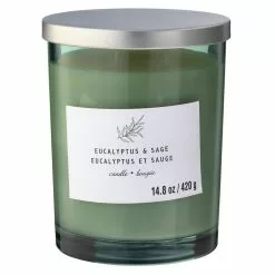 Best deal ❤️ 8 Pack: Eucalyptus & Sage 2-Wick Jar Candle by Ashland® 💯