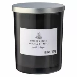 Wholesale ๐ฏ 8 Pack: Embers & Musk 2-Wick Jar Candle by Ashland® ๐ฏ