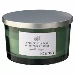 New ⭐ 8 Pack: Eucalyptus & Sage 3-Wick Jar Candle by Ashland® 👏