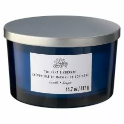 Budget ❤️ 8 Pack: Twilight & Currant 3-Wick Jar Candle by Ashland® ✨